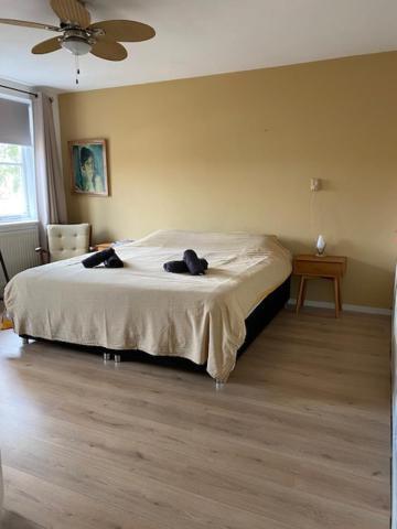 Sunnystay 43 Middelburg Exterior foto